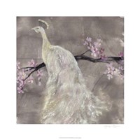 Peacock Serenity II Fine Art Print