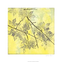 Fluttering Maple I Fine Art Print