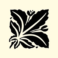 B&W Graphic Beauty I Fine Art Print