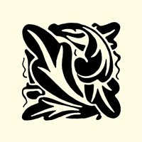 B&W Graphic Beauty II Fine Art Print