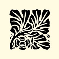 B&W Graphic Beauty III Fine Art Print