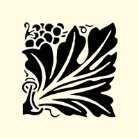 B&W Graphic Beauty IV Fine Art Print