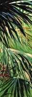 Just Fronds Fine Art Print