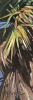 Wild Palm I Fine Art Print