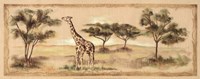 Safari Giraffe Framed Print