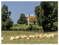 Happy Antiquanes Fine Art Print