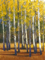 Fall in Glory II Fine Art Print