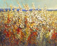Field of Spring Flowers II Fine Art Print