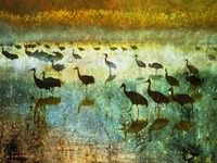Cranes in Mist I Fine Art Print