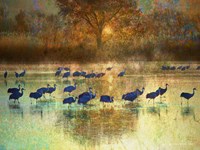 Cranes in Mist II Fine Art Print