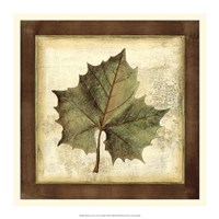 Rustic Leaves I - No Crackle Fine Art Print