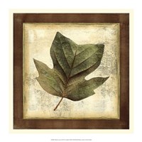 Rustic Leaves III - No Crackle Fine Art Print
