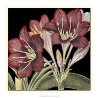 Dramatic Blossoms I Fine Art Print