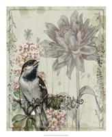 Mauve Melody I Fine Art Print