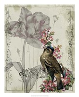 Mauve Melody II Fine Art Print