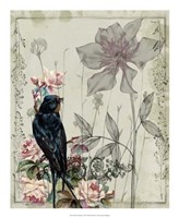 Mauve Melody IV Fine Art Print