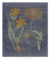 Midnight Sonnet I Fine Art Print