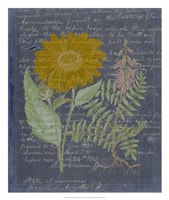 Midnight Sonnet III Fine Art Print