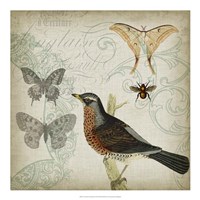 Cartouche & Wings II Framed Print