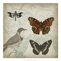 Cartouche & Wings IV Fine Art Print