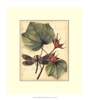 Petite Dragonflies I Fine Art Print