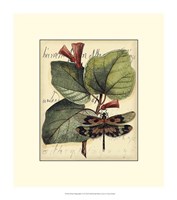 Petite Dragonflies VI Fine Art Print