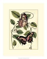 Petite Butterflies IV Fine Art Print
