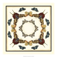 Butterfly Collector I Framed Print