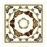 Butterfly Collector II Framed Print