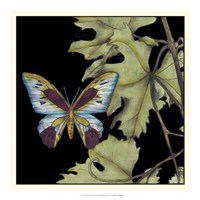 Butterfly on Vine I Framed Print