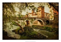 Through the Sycamores Fine Art Print