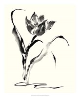 Studies in Ink - Tulip Fine Art Print