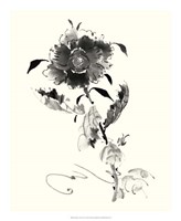 Studies in Ink - Rose I Fine Art Print