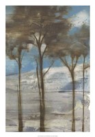 Near Dusk II Framed Print