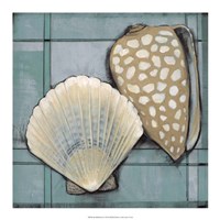 Seashell Sketch I Fine Art Print