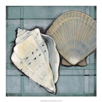 Seashell Sketch II Fine Art Print