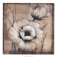 Neutral Poppies I Framed Print