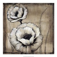 Neutral Poppies II Framed Print