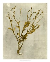 Impressions in Mustard Fine Art Print