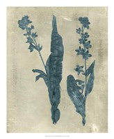 Impressions in Teal Fine Art Print