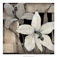 Dramatic Lily Grid II Fine Art Print