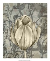 Tulip & Wildflowers I Fine Art Print