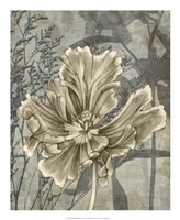 Tulip & Wildflowers II Fine Art Print
