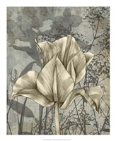Tulip & Wildflowers IV Fine Art Print