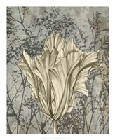 Tulip & Wildflowers V Fine Art Print