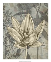 Tulip & Wildflowers VI Fine Art Print