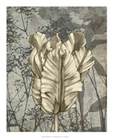 Tulip & Wildflowers VII Fine Art Print
