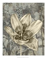 Tulip & Wildflowers VIII Fine Art Print