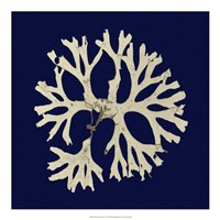 Seaweed on Navy I Fine Art Print