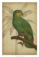 Parrot and Palm I Fine Art Print